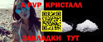 ешки Кингисепп