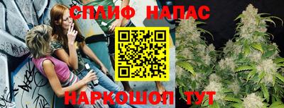 ешки Кингисепп