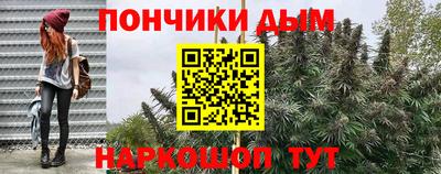 крисы Кимры