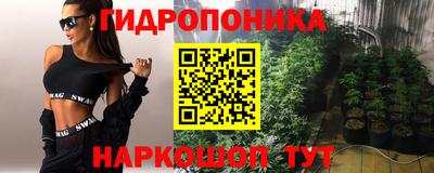 ешки Кингисепп